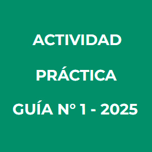Actividad Práctica Guía N° 1 - Ciclo 2025