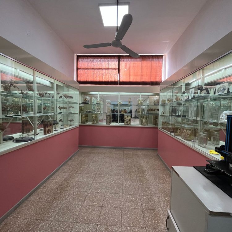 museo2