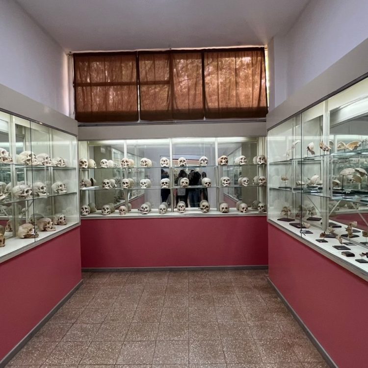 museo3