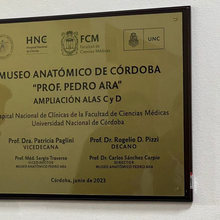 museo7