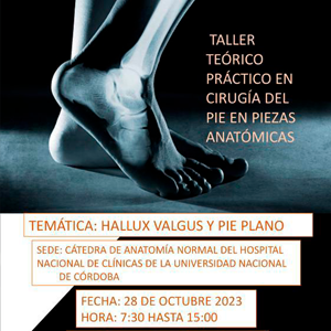 TALLER TEÓRICO PRÁCTICO EN CIRUGÍA DEL PIE